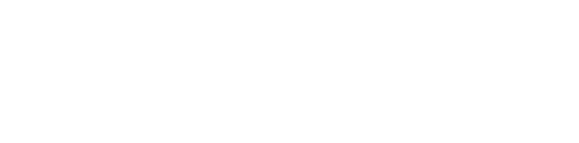 Rapid_Finance_Logo_White